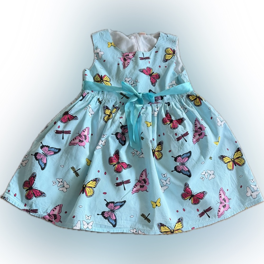 Girls~Butterfly Dragonfly Print~Sleeveless~A-Line~Lined~Dress~Baby Blue~Size 5T